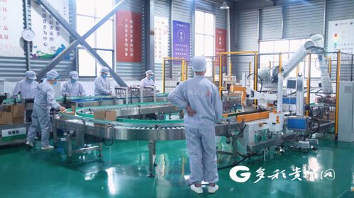 安順155名產(chǎn)業(yè)村長(zhǎng)點(diǎn)燃鄉(xiāng)村振興新引擎，農(nóng)副產(chǎn)品暢銷富鄉(xiāng)惠民利企