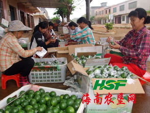 東昌農(nóng)產(chǎn)品收購市場(chǎng)聚財(cái)氣，助力農(nóng)副產(chǎn)品銷售興旺