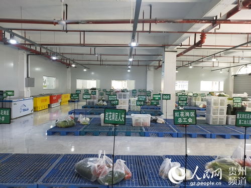 紅花崗區(qū)農(nóng)產(chǎn)品產(chǎn)銷對(duì)接智慧服務(wù)中心首日運(yùn)營成效顯著，發(fā)貨量達(dá)40余噸